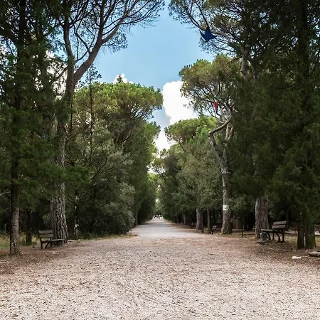 Colle Della Trinita מלון פרוג'ה